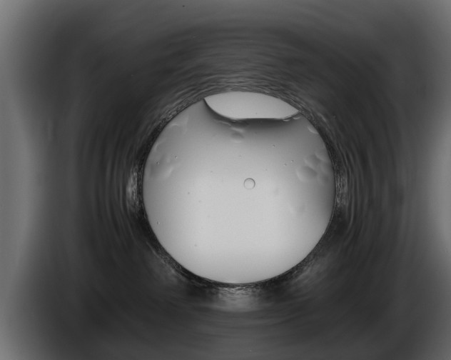 X0000086720238200704130734