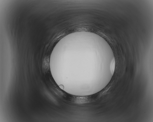 X0000086720240200704130733