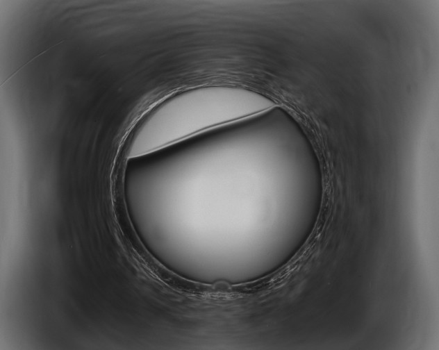 X0000086720242200704130733