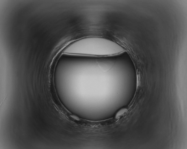 X0000086720243200704130733