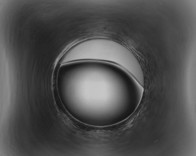 X0000086720244200704130733