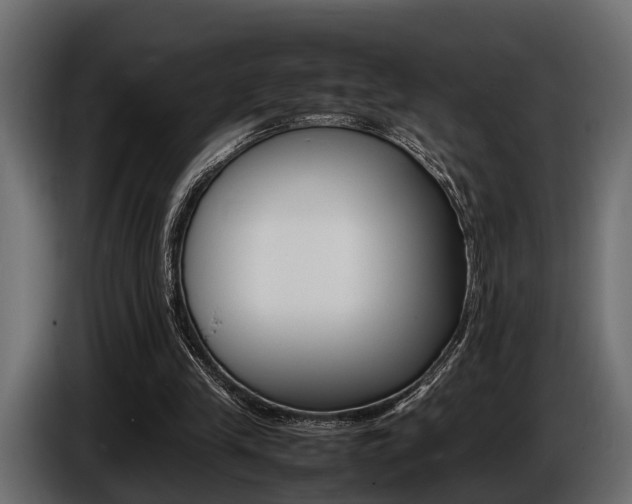 X0000086720245200704130733