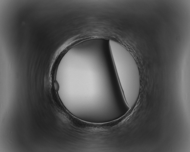 X0000086720246200704130733