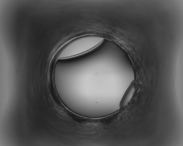 X0000086720247200704130733