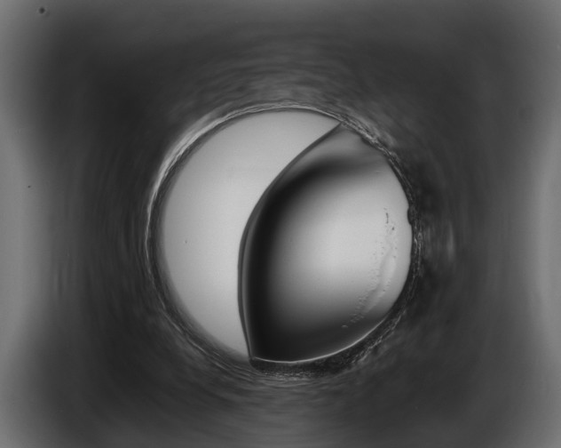 X0000086720248200704130733