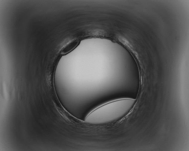 X0000086720249200704130733