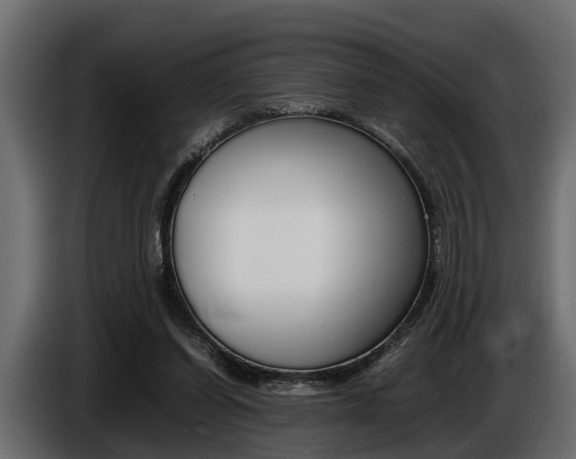 X0000086720254200704130733