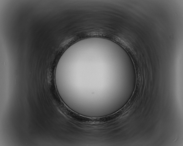X0000086720255200704130733