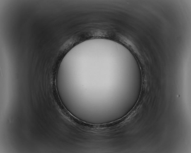 X0000086720257200704130733