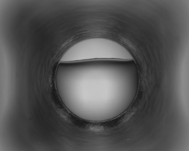 X0000086720258200704130733