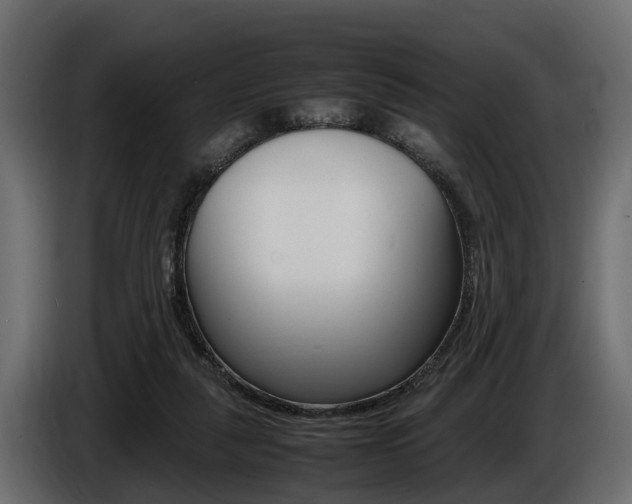 X0000086720259200704130733