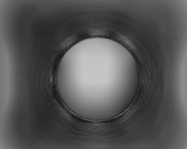 X0000086720261200704130733