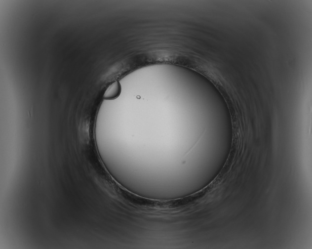 X0000086720262200704130733