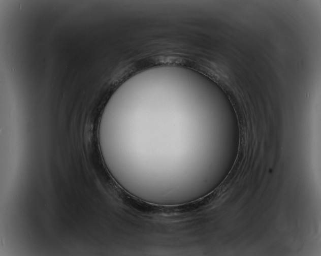 X0000086720263200704130733