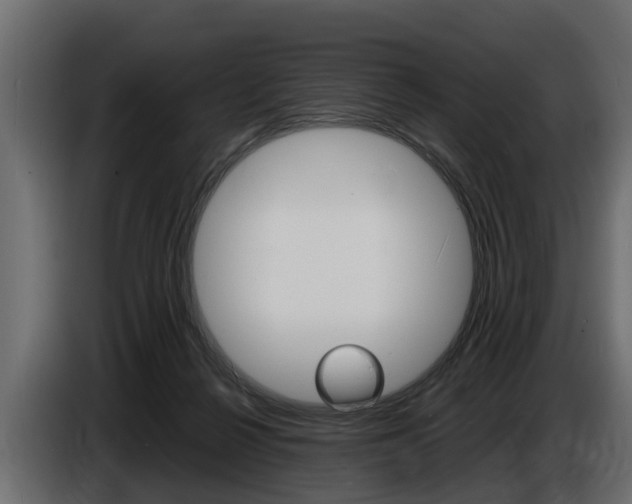 X0000086720264200704130733