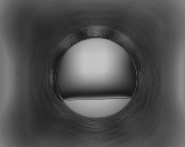 X0000086720267200704130733