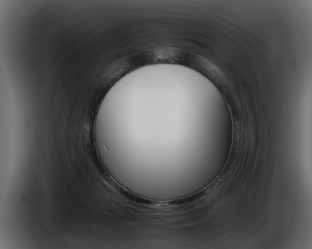 X0000086720269200704130733