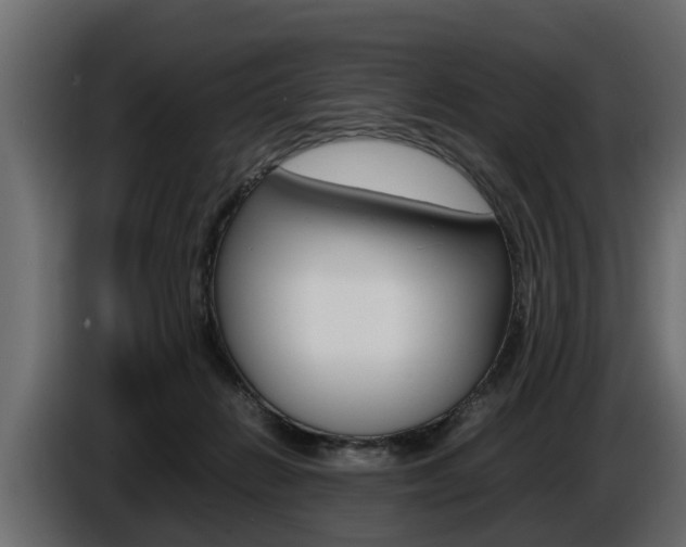 X0000086720270200704130733