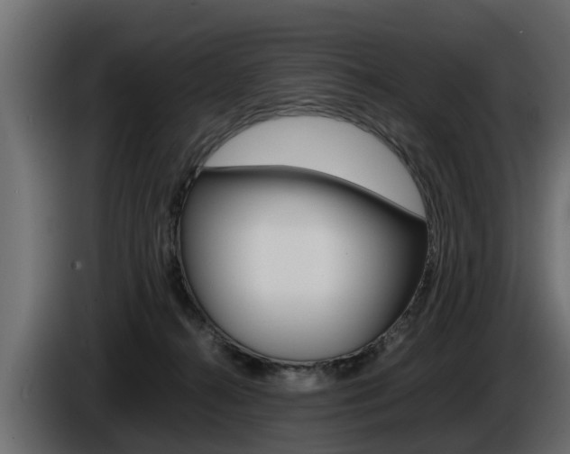 X0000086720272200704130733