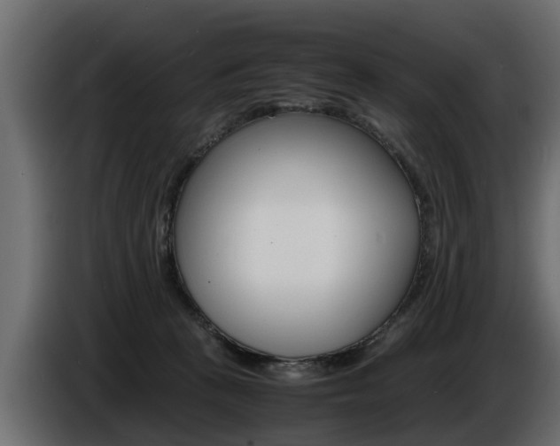 X0000086720273200704130733