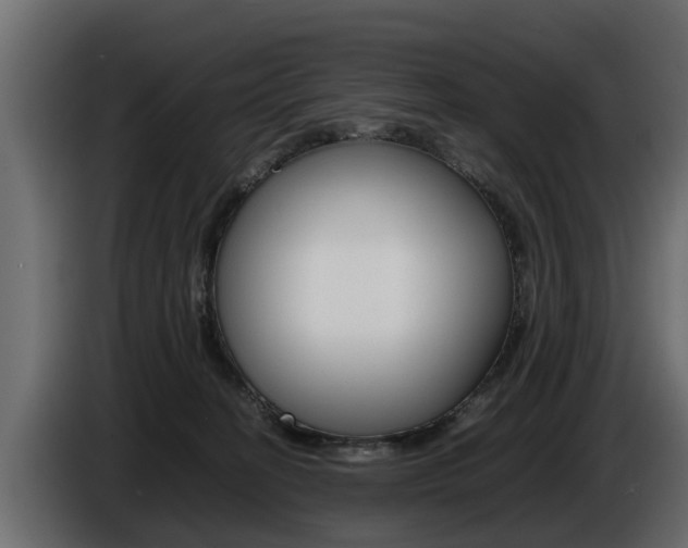X0000086720274200704130733