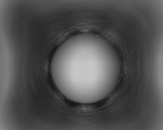 X0000086720275200704130733