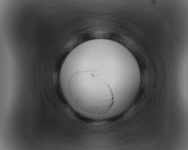 X0000086720278200704130733