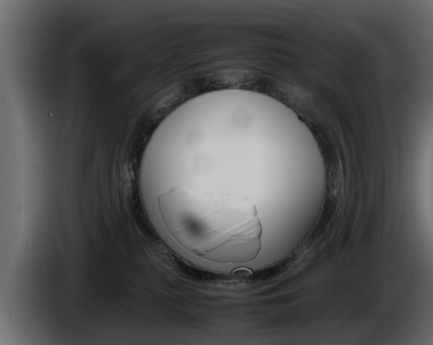 X0000086720279200704130733