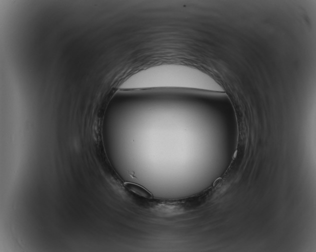 X0000086720280200704130733