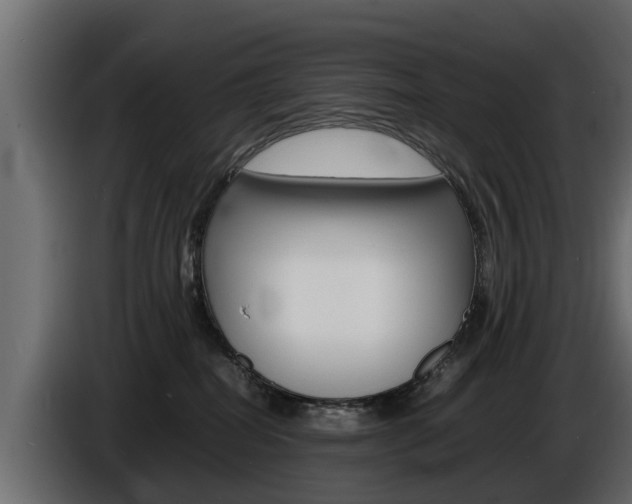 X0000086720282200704130733
