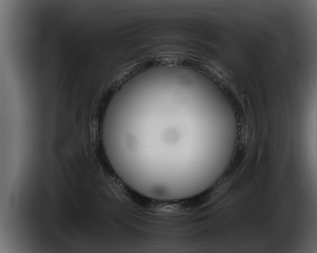 X0000086720283200704130733