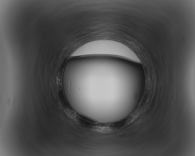 X0000086720284200704130733