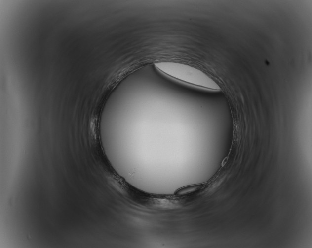 X0000086720286200704130733