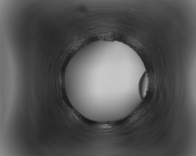 X0000086720287200704130733