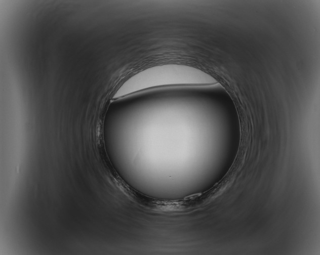 X0000086720288200704130733