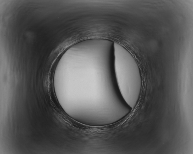 X0000086720290200704130733