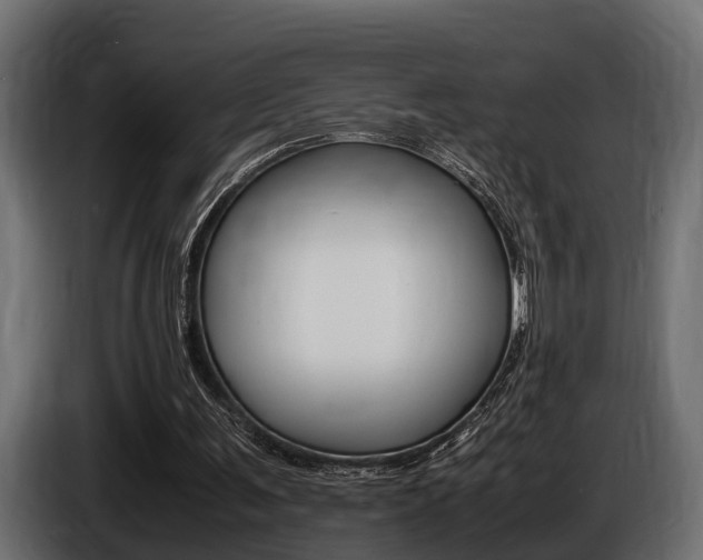 X0000086720291200704130733