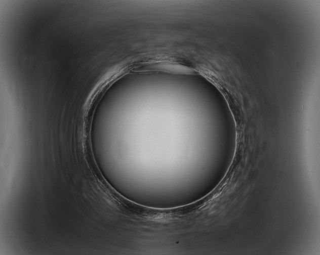 X0000086720293200704130733