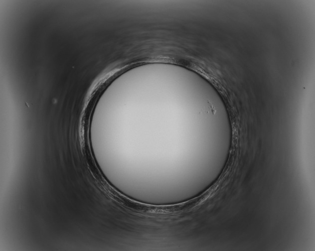 X0000086720294200704130733