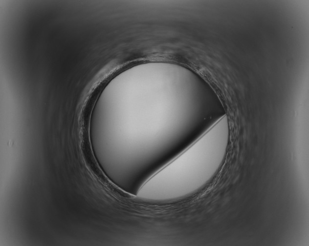 X0000086720295200704130733