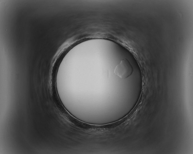 X0000086720296200704130733