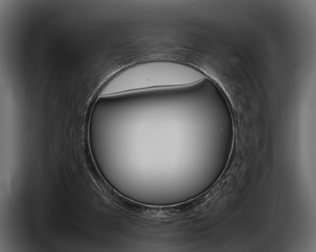 X0000086720297200704130733