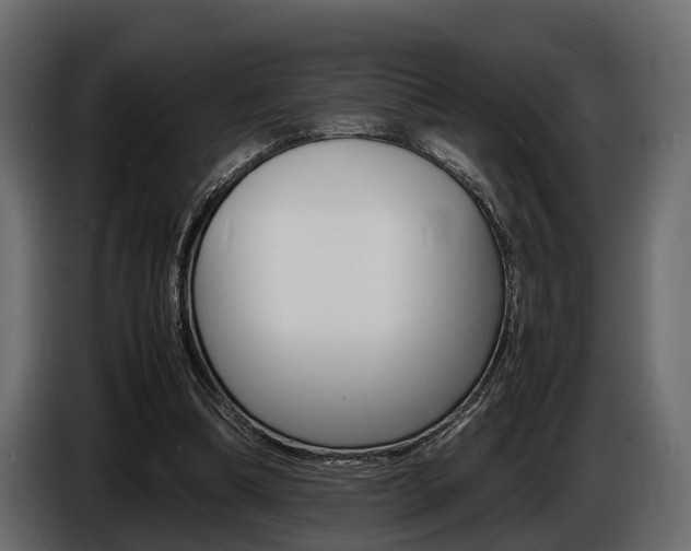X0000086720298200704130733