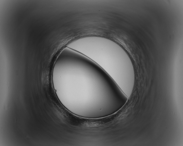 X0000086720299200704130733