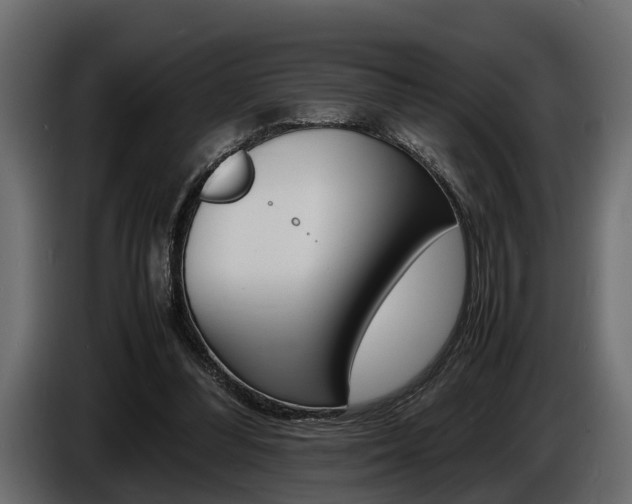 X0000086720300200704130733