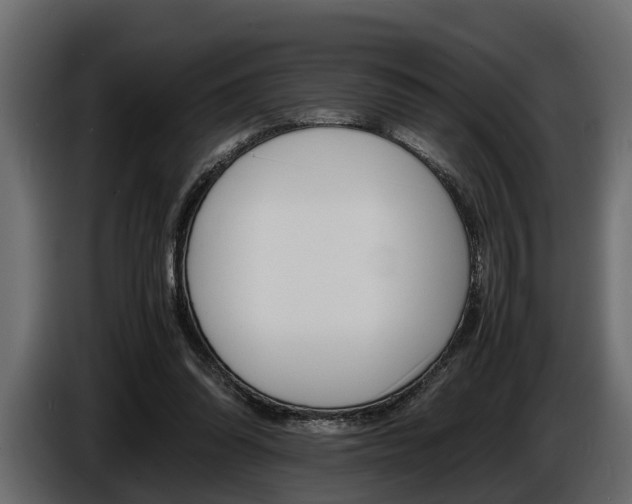 X0000086720302200704130733