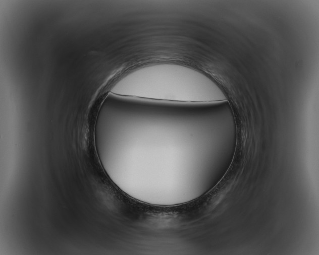 X0000086720304200704130733