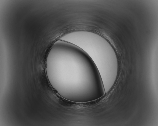 X0000086720305200704130733