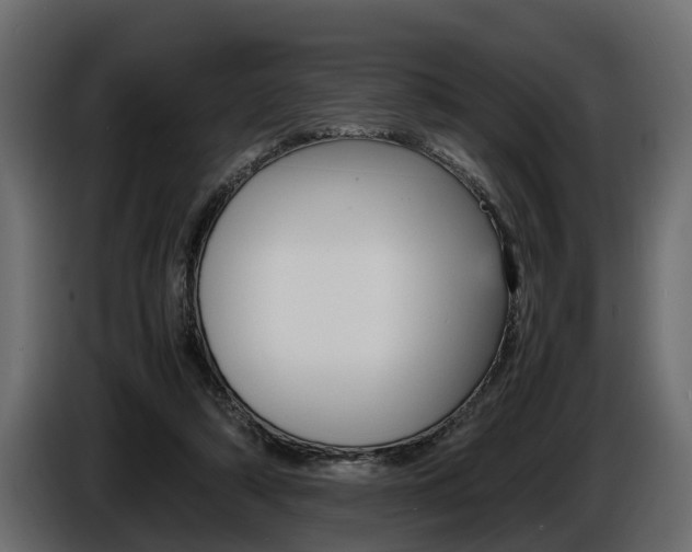 X0000086720306200704130733