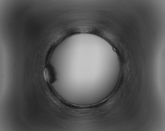 X0000086720307200704130733